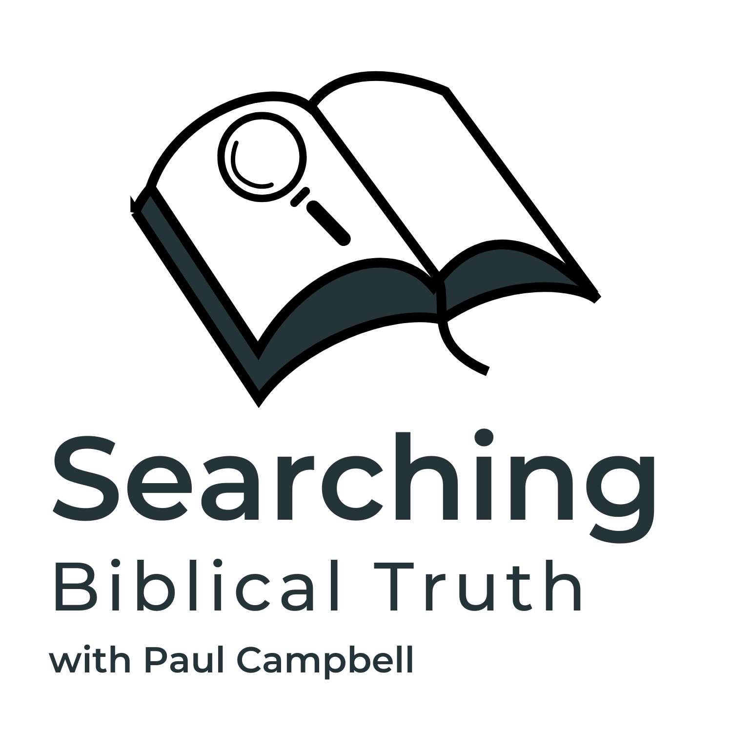 Searching Biblical Truth